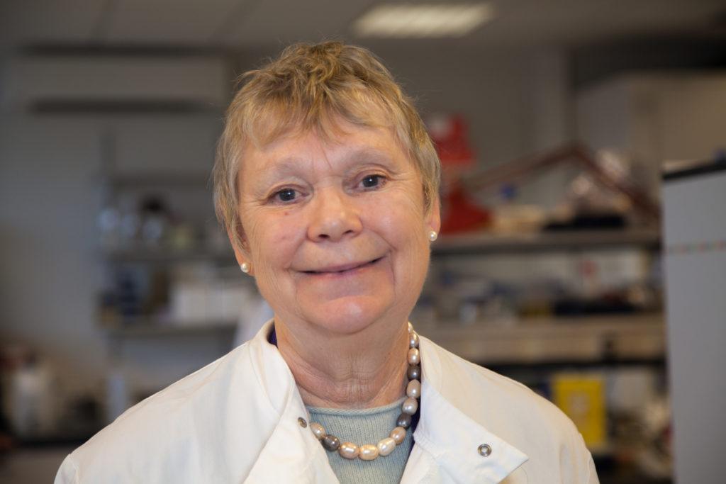 BCI academic receives prestigious science learning award