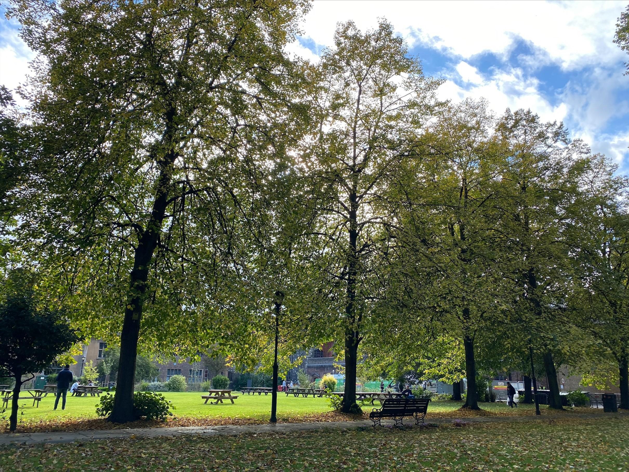 Autumn 2021_2