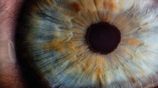 Close up image of a human eye, showing the iris and pupil